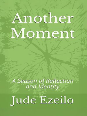 cover image of Another Moment